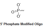 Bio-Synthesis Inc. Oligo Structure